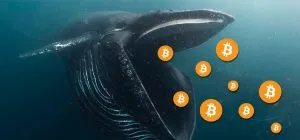 bitcoin-whale