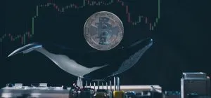 btc-whale-2